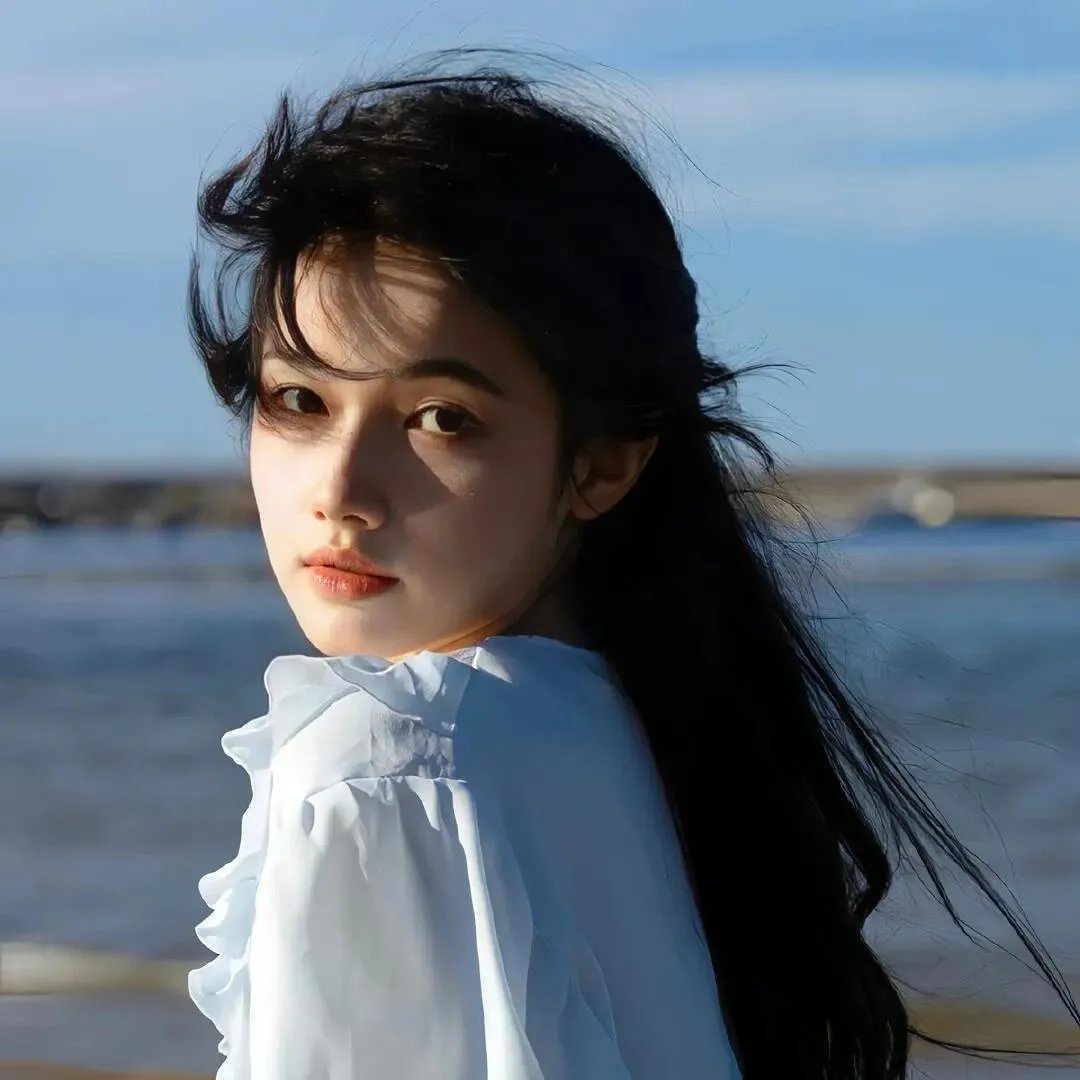 天龙寺之星辰传